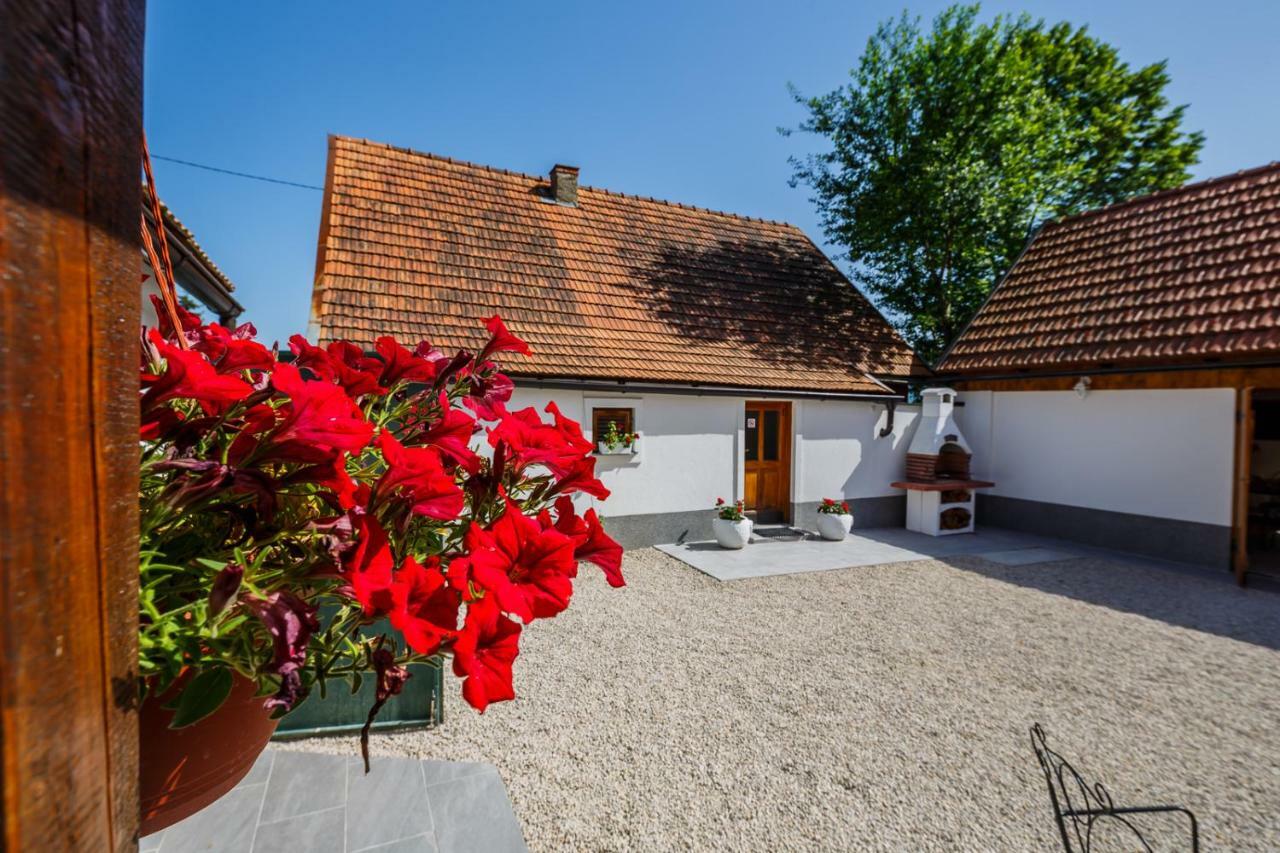 Beautiful Cottage With Heated Pool For 22 Ppl Plaški Exterior foto